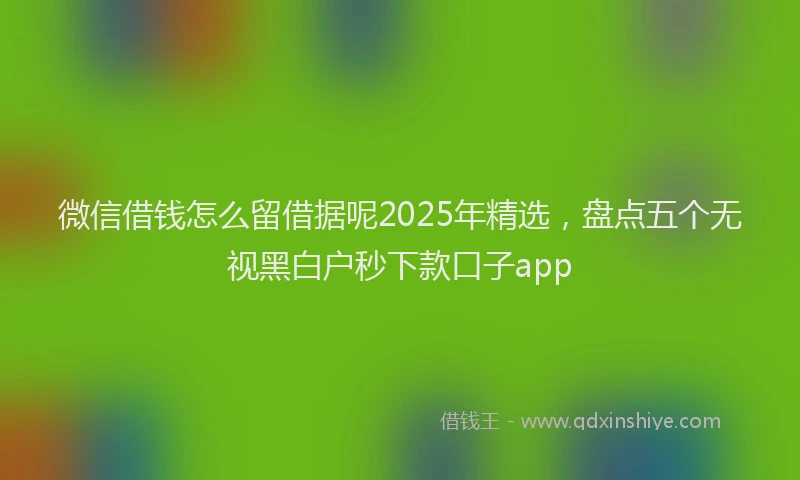 微信借钱怎么留借据呢2025年精选，盘点五个无视黑白户秒下款口子app