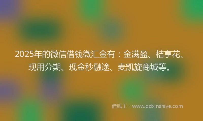 2025年的微信借钱微汇金有：金满盈、桔享花、现用分期、现金秒融途、麦凯旋商城等。
