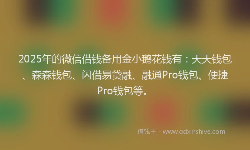 2025年的微信借钱备用金小鹅花钱有：天天钱包、森森钱包、闪借易贷融、融通Pro钱包、便捷Pro钱包等。