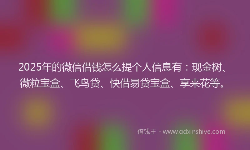 2025年的微信借钱怎么提个人信息有：现金树、微粒宝盒、飞鸟贷、快借易贷宝盒、享来花等。