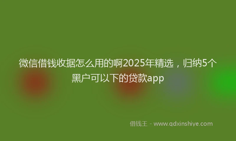 微信借钱收据怎么用的啊2025年精选，归纳5个黑户可以下的贷款app