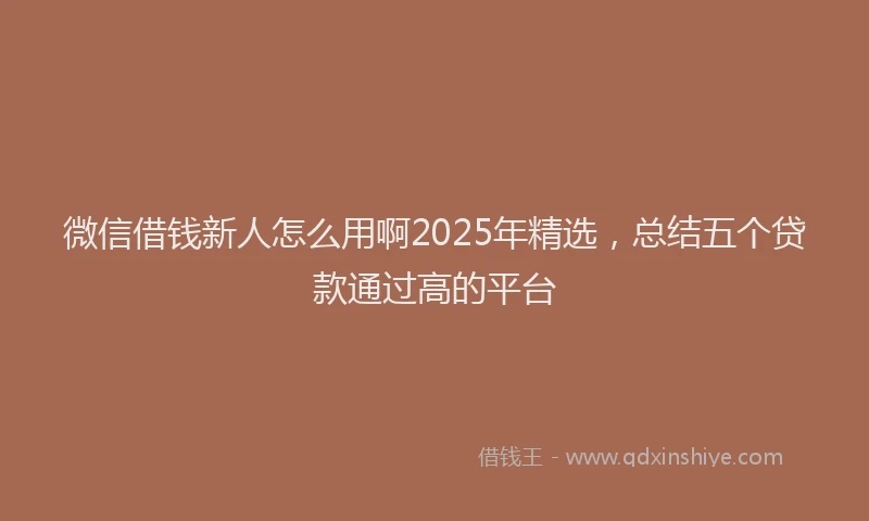 微信借钱新人怎么用啊2025年精选，总结五个贷款通过高的平台