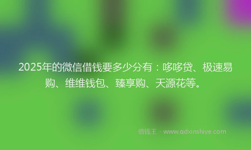 2025年的微信借钱要多少分有：哆哆贷、极速易购、维维钱包、臻享购、天源花等。