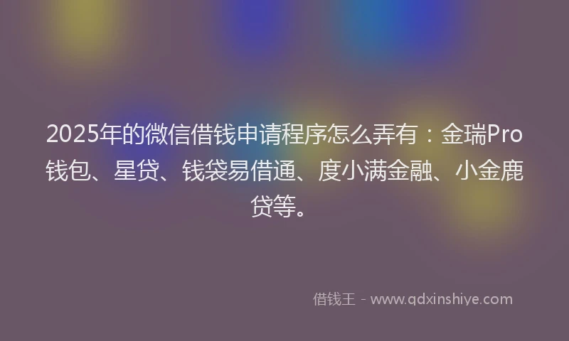 2025年的微信借钱申请程序怎么弄有：金瑞Pro钱包、星贷、钱袋易借通、度小满金融、小金鹿贷等。