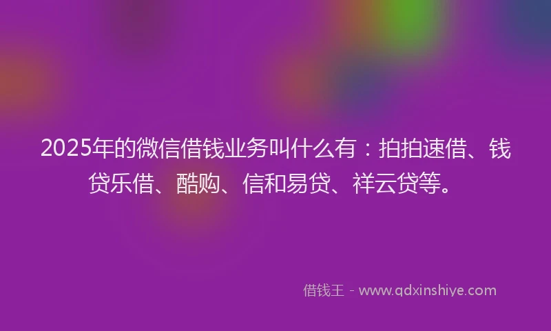 2025年的微信借钱业务叫什么有：拍拍速借、钱贷乐借、酷购、信和易贷、祥云贷等。
