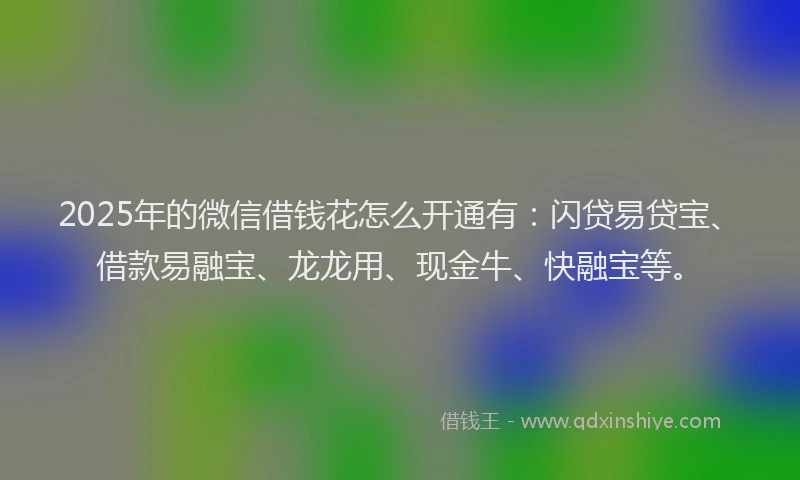 2025年的微信借钱花怎么开通有：闪贷易贷宝、借款易融宝、龙龙用、现金牛、快融宝等。