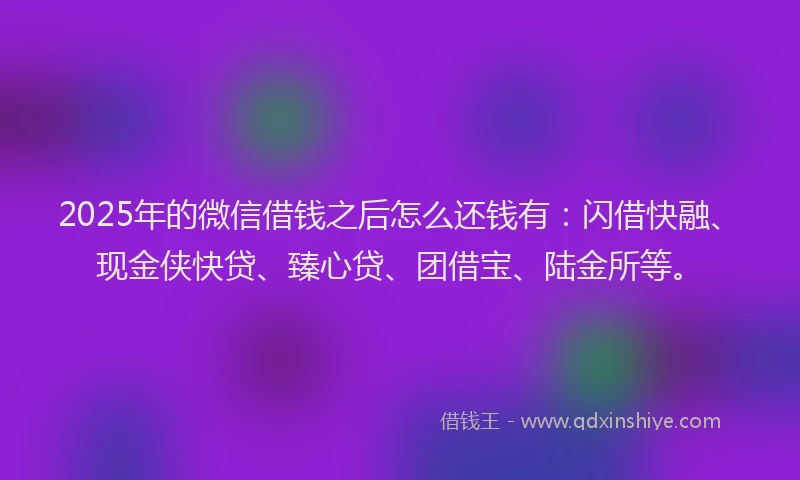 2025年的微信借钱之后怎么还钱有：闪借快融、现金侠快贷、臻心贷、团借宝、陆金所等。