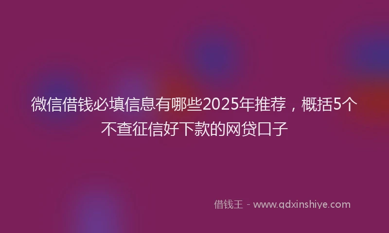 微信借钱必填信息有哪些2025年推荐，概括5个不查征信好下款的网贷口子