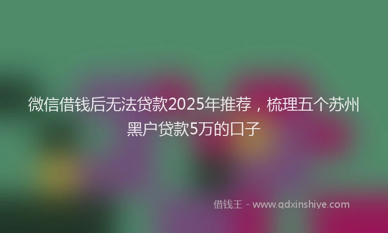 微信借钱后无法贷款2025年推荐，梳理五个苏州黑户贷款5万的口子