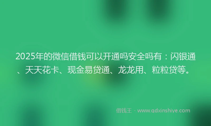 2025年的微信借钱可以开通吗安全吗有：闪银通、天天花卡、现金易贷通、龙龙用、粒粒贷等。