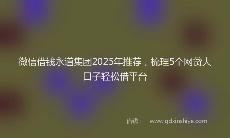 微信借钱永道集团2025年推荐，梳理5个网贷大口子轻松借平台