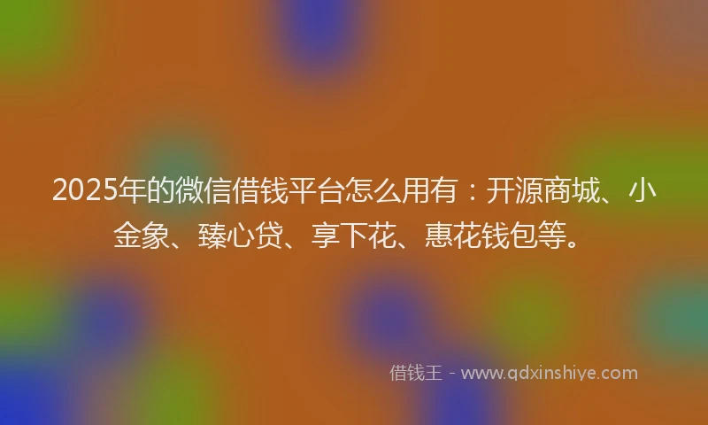 2025年的微信借钱平台怎么用有：开源商城、小金象、臻心贷、享下花、惠花钱包等。