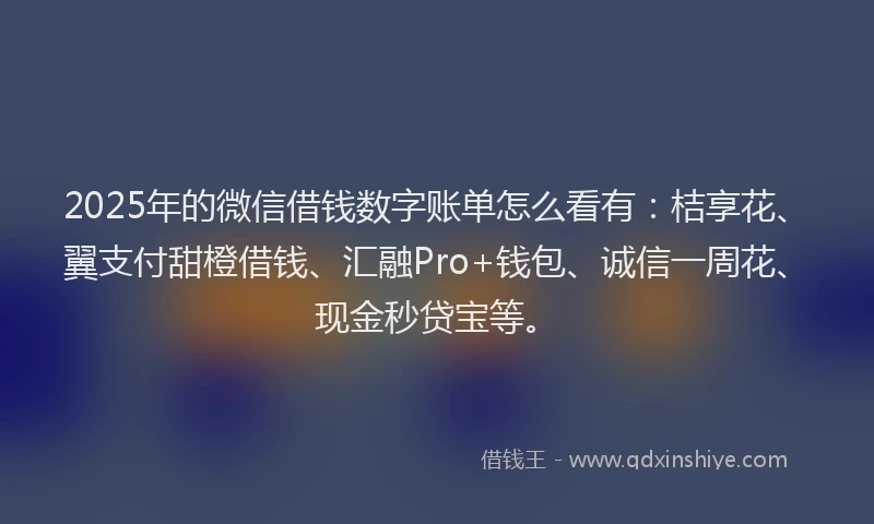 2025年的微信借钱数字账单怎么看有：桔享花、翼支付甜橙借钱、汇融Pro+钱包、诚信一周花、现金秒贷宝等。