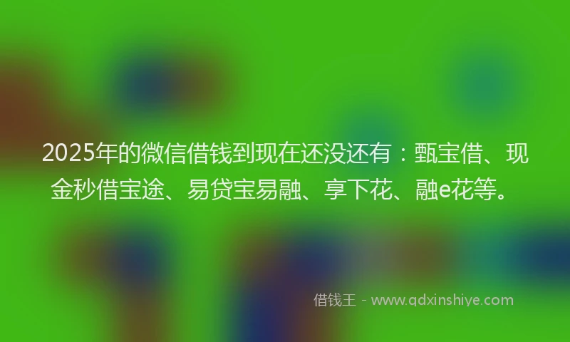 2025年的微信借钱到现在还没还有：甄宝借、现金秒借宝途、易贷宝易融、享下花、融e花等。