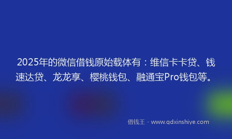 2025年的微信借钱原始载体有：维信卡卡贷、钱速达贷、龙龙享、樱桃钱包、融通宝Pro钱包等。