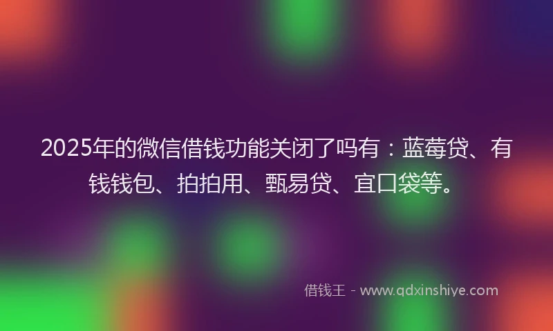 2025年的微信借钱功能关闭了吗有：蓝莓贷、有钱钱包、拍拍用、甄易贷、宜口袋等。