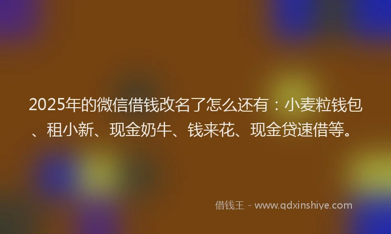 2025年的微信借钱改名了怎么还有：小麦粒钱包、租小新、现金奶牛、钱来花、现金贷速借等。