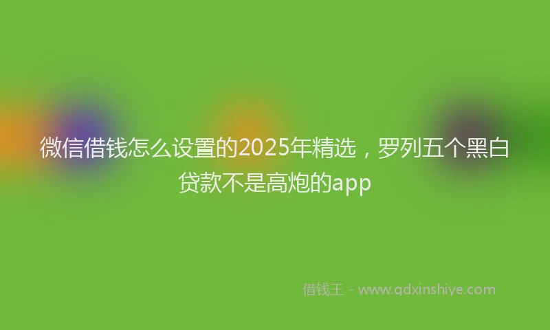 微信借钱怎么设置的2025年精选，罗列五个黑白贷款不是高炮的app