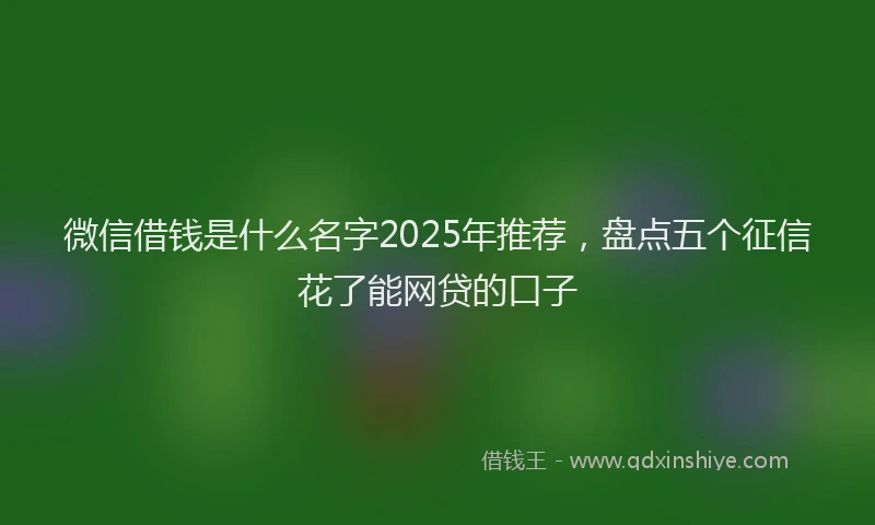 微信借钱是什么名字2025年推荐，盘点五个征信花了能网贷的口子