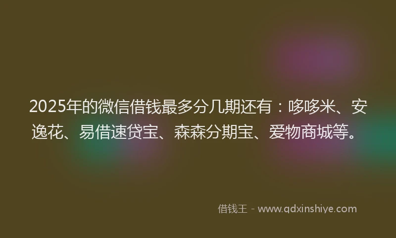 2025年的微信借钱最多分几期还有：哆哆米、安逸花、易借速贷宝、森森分期宝、爱物商城等。