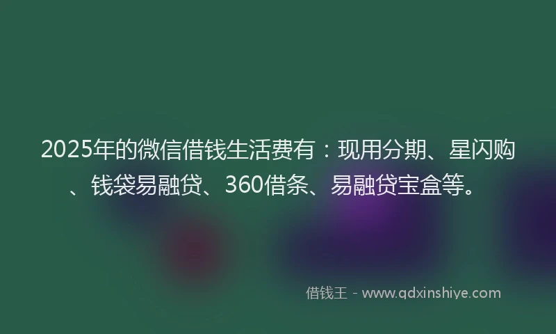 2025年的微信借钱生活费有：现用分期、星闪购、钱袋易融贷、360借条、易融贷宝盒等。
