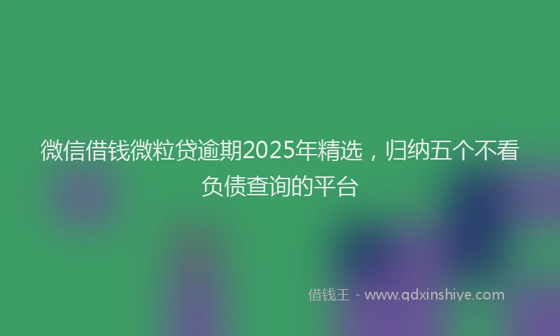 微信借钱微粒贷逾期2025年精选，归纳五个不看负债查询的平台