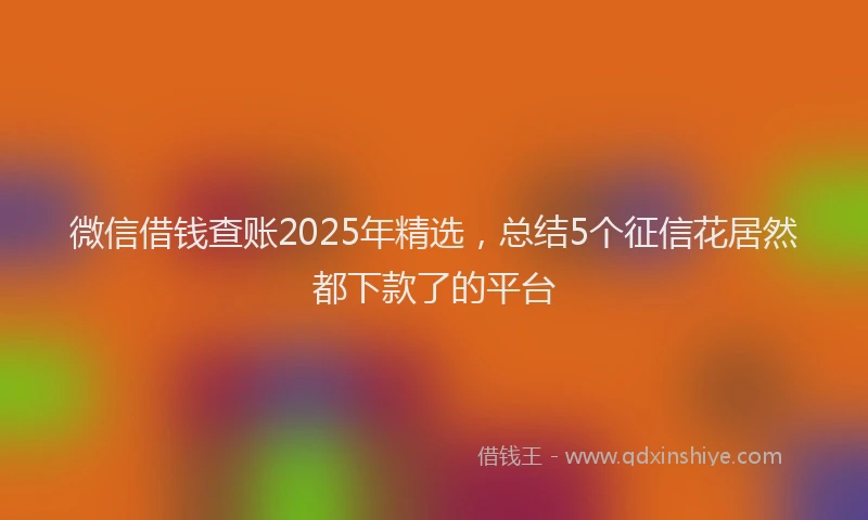 微信借钱查账2025年精选，总结5个征信花居然都下款了的平台