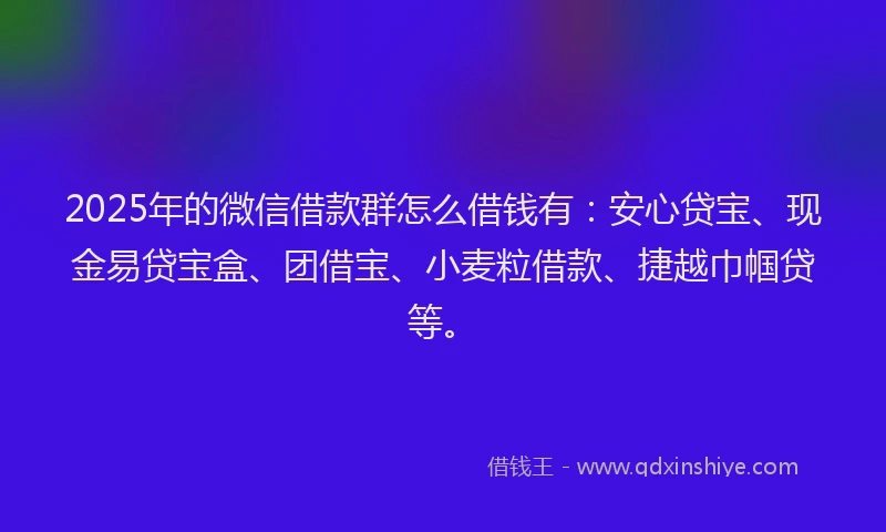 2025年的微信借款群怎么借钱有：安心贷宝、现金易贷宝盒、团借宝、小麦粒借款、捷越巾帼贷等。