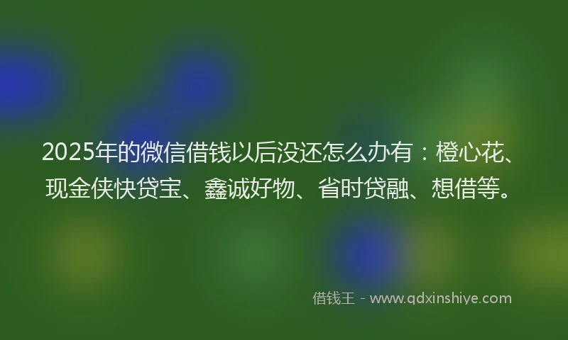 2025年的微信借钱以后没还怎么办有：橙心花、现金侠快贷宝、鑫诚好物、省时贷融、想借等。