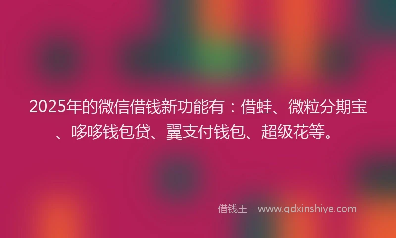 2025年的微信借钱新功能有：借蛙、微粒分期宝、哆哆钱包贷、翼支付钱包、超级花等。