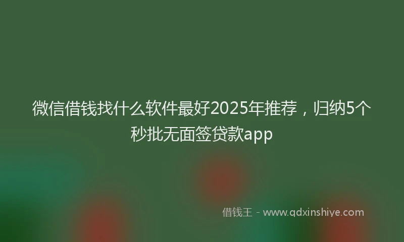微信借钱找什么软件最好2025年推荐，归纳5个秒批无面签贷款app