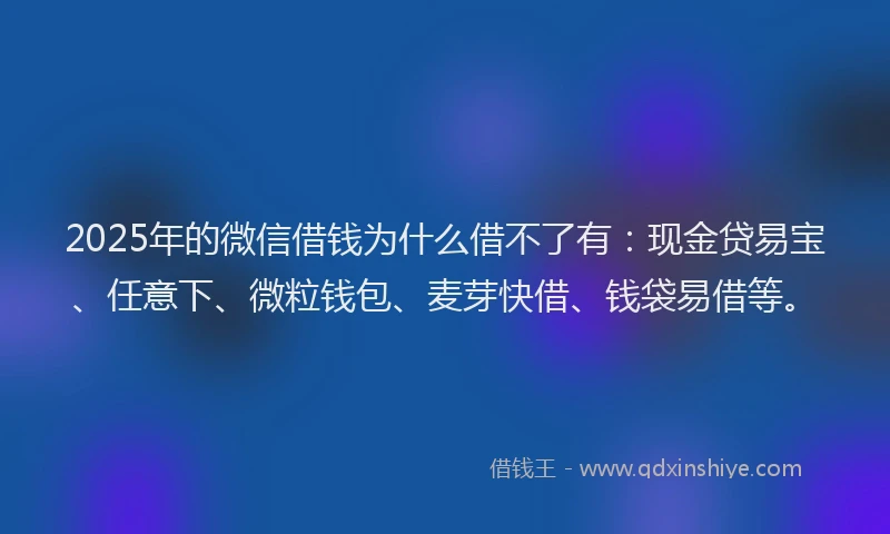 2025年的微信借钱为什么借不了有：现金贷易宝、任意下、微粒钱包、麦芽快借、钱袋易借等。