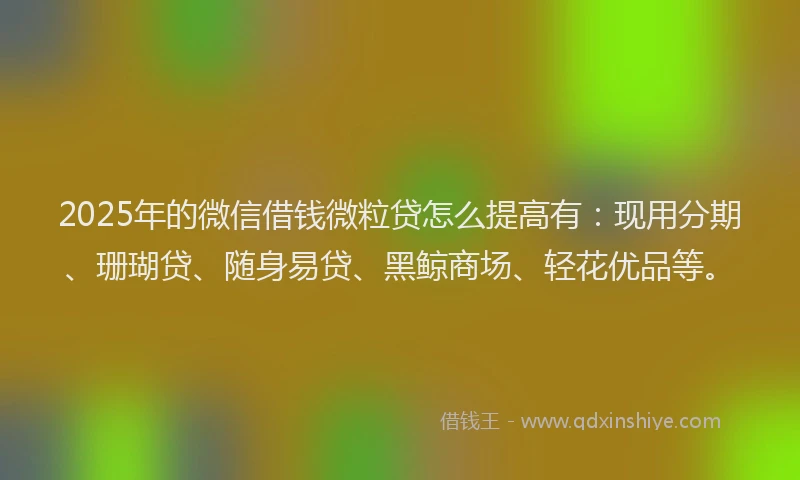 2025年的微信借钱微粒贷怎么提高有：现用分期、珊瑚贷、随身易贷、黑鲸商场、轻花优品等。