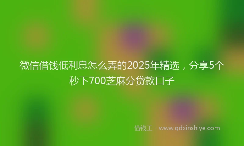 微信借钱低利息怎么弄的2025年精选，分享5个秒下700芝麻分贷款口子