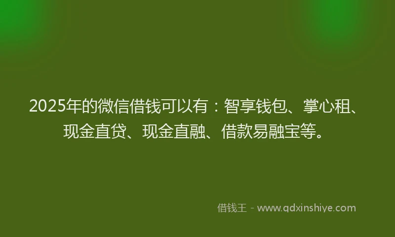 2025年的微信借钱可以有：智享钱包、掌心租、现金直贷、现金直融、借款易融宝等。