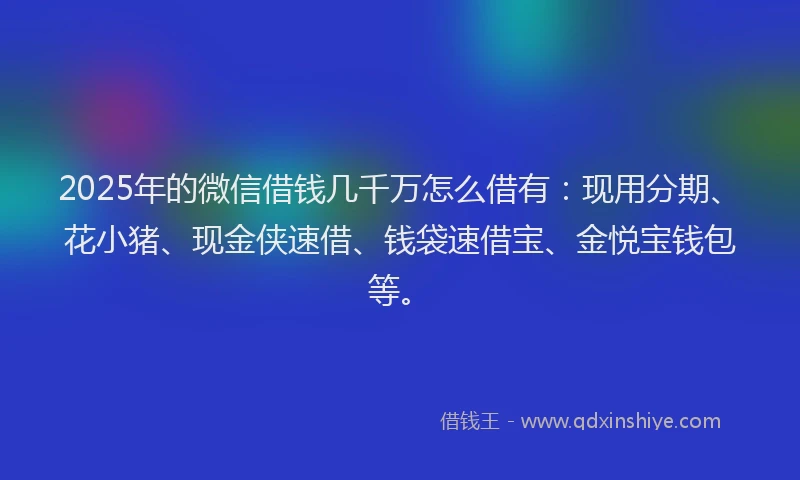 2025年的微信借钱几千万怎么借有：现用分期、花小猪、现金侠速借、钱袋速借宝、金悦宝钱包等。