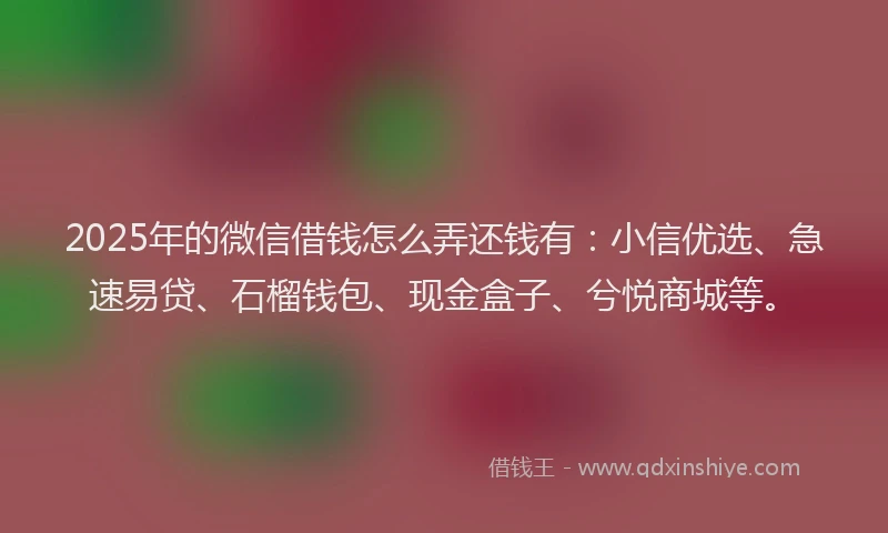 2025年的微信借钱怎么弄还钱有：小信优选、急速易贷、石榴钱包、现金盒子、兮悦商城等。