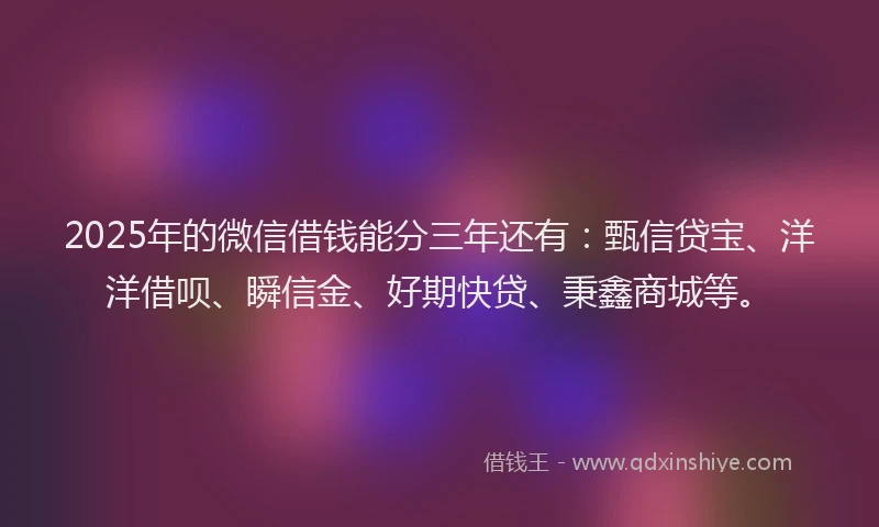 2025年的微信借钱能分三年还有：甄信贷宝、洋洋借呗、瞬信金、好期快贷、秉鑫商城等。