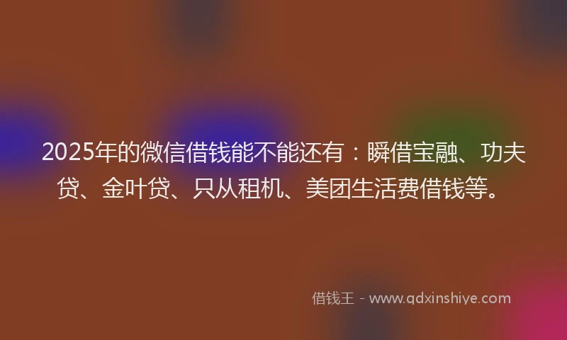 2025年的微信借钱能不能还有：瞬借宝融、功夫贷、金叶贷、只从租机、美团生活费借钱等。
