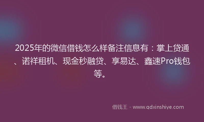 2025年的微信借钱怎么样备注信息有：掌上贷通、诺祥租机、现金秒融贷、享易达、鑫速Pro钱包等。