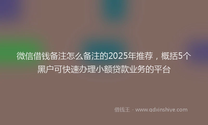 微信借钱备注怎么备注的2025年推荐，概括5个黑户可快速办理小额贷款业务的平台