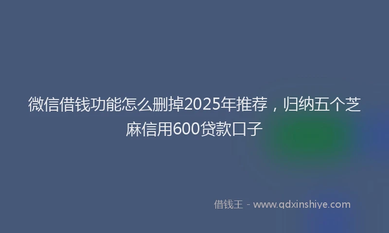 微信借钱功能怎么删掉2025年推荐，归纳五个芝麻信用600贷款口子