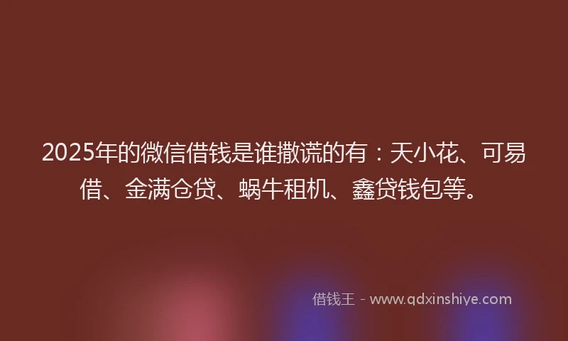 2025年的微信借钱是谁撒谎的有：天小花、可易借、金满仓贷、蜗牛租机、鑫贷钱包等。