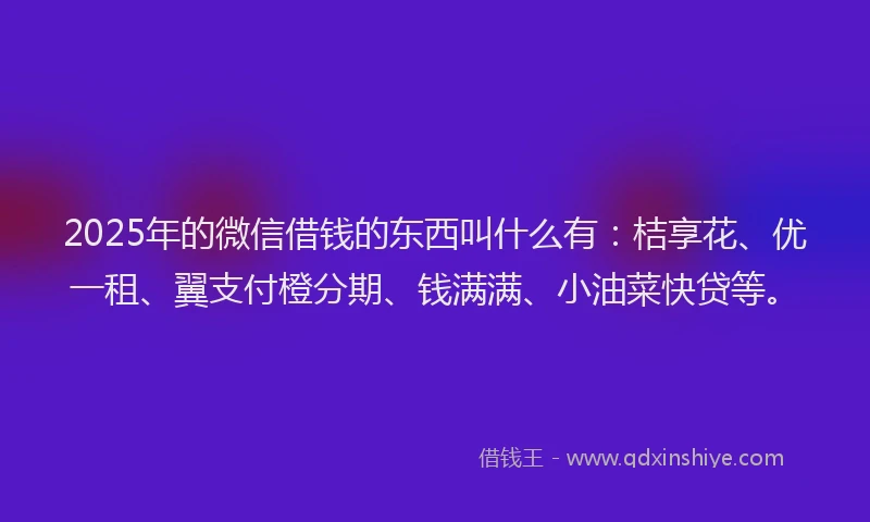 2025年的微信借钱的东西叫什么有：桔享花、优一租、翼支付橙分期、钱满满、小油菜快贷等。