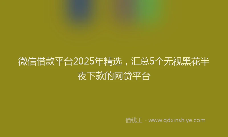 微信借款平台2025年精选，汇总5个无视黑花半夜下款的网贷平台