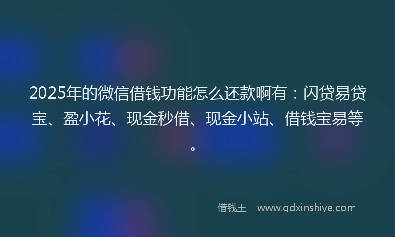 2025年的微信借钱功能怎么还款啊有：闪贷易贷宝、盈小花、现金秒借、现金小站、借钱宝易等。
