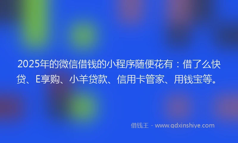 2025年的微信借钱的小程序随便花有：借了么快贷、E享购、小羊贷款、信用卡管家、用钱宝等。