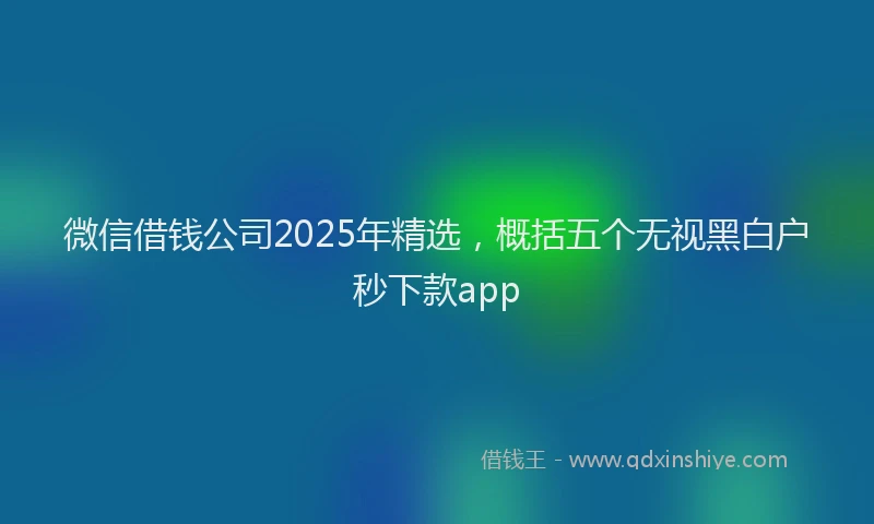 微信借钱公司2025年精选，概括五个无视黑白户秒下款app