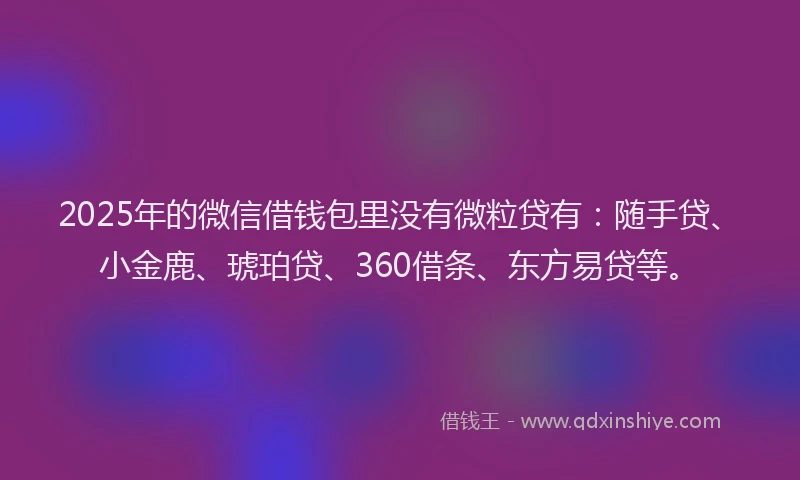 2025年的微信借钱包里没有微粒贷有：随手贷、小金鹿、琥珀贷、360借条、东方易贷等。