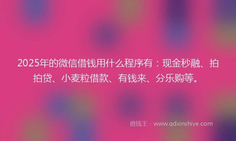 2025年的微信借钱用什么程序有：现金秒融、拍拍贷、小麦粒借款、有钱来、分乐购等。